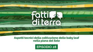 Fatti di Terra Ep.28 - Aspetti tecnici della coltivazione delle baby leaf nella piana del Sele