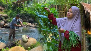 The fun of washing in the river, harvesting long beans | Amazing of living in the village