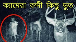 ক্যামেরা বন্দী কিছু ভুত