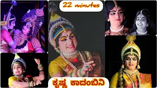 ಸುಧೀರ್ ಉಪ್ಪೂರು X ಯಲಗುಪ್ಪ X ಕಾರ್ತಿಕ್ ಚಿಟ್ಟಾಣಿ ||Krishna Kadambini Perdooru Mela Yakshagana 2022||