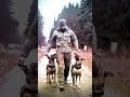 #tacticalshooter #dog #dogs #k9 #foryou #usa #tacticalk9 #shortsvideo #shortvideo #belgianmalinois