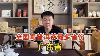 不产普洱的广东，却是全国喝普洱茶最多省份，茶老板道出3个原因