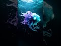 mysterious creature moving strangely underwater 🌊👀 deepsea mystery