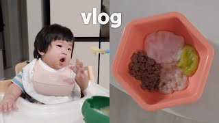 초기이유식 만들기 👩‍🍳 토핑이유식 큐브공장 • 입꾹닫 거부하는 아기..? 아기새 이유식 먹방? • 쌀죽, 소고기, 애호박, 파프리카 큐브 만들기! 이유식 먹이는 법 밀가루 테스트