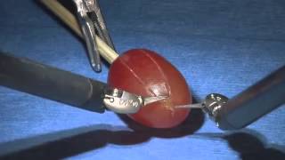 Precision da Vinci Robotic Surgery Peels Grape Skin