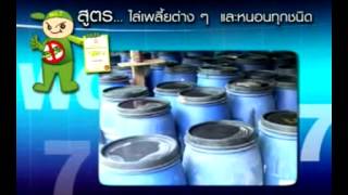 กรมพัฒนาที่ดิน - ผสมผสานภูมิปัญญาหมอดินอาสาชาวบ้านกับสารเร่ง พด.7 จนก่อเกิดสารป้องกันแมลงศัตรูพืช