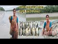 আজ নদীতে পাটা জাল থেকে অনেক মাছ পেলাম  women Sundarban river fishing net fishing