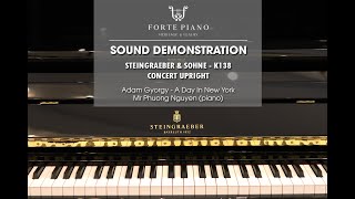 A day in New York | Steingraeber \u0026 Sohne #K138 (Concert upright) Sound Demonstration | Forte Piano