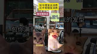 晓华理发师，是男孩子的福音 #猫meme小剧场 #cat #万万没想到 #funny #pets #寵物 #cute #理发师