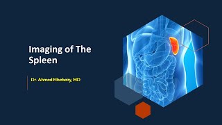 Imaging of the Spleen