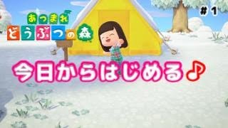 【あつ森】あつまれどうぶつの森　🌴無人島生活スタート♪🌴　Part１