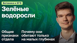 7.29. Зеленые водоросли | Ботаника к ЕГЭ | Георгий Мишуровский