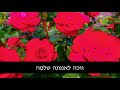 סיכום המעלות העצומות בזכות שמירת הברית מתוך הספר