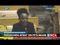 Mkhwebane's Impeachment | Thousands spent on Public Protector's image