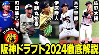 【まさかの神ドラフト⁉︎】阪神ドラフト2024指名選手を徹底解説！！藤川監督がどうしてもしても欲しかったドラ1とは！？