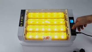 ใหม่ เครื่องฟักไข่ ตู้ฟักไข่อัตโนมัติ รุ่น CF 24 LED โดย ฟาร์มไก่แจ้