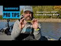 How To Fish a Jerkbait: World Minnow and World Diver | Shimano Pro Tips