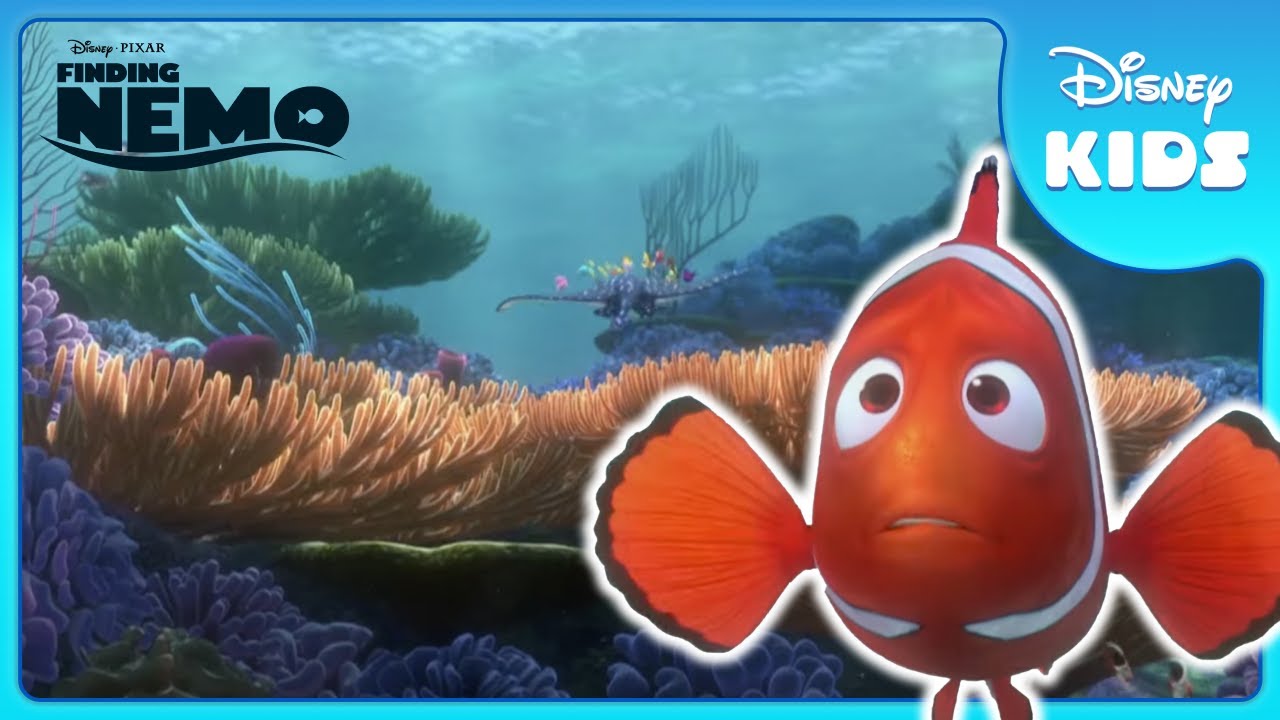 Finding Nemo Diosca 1 Finding Nemo Live Action Remake Dvd Menu Disc