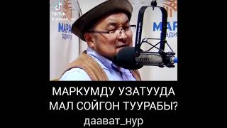 МАРКУМДУ УЗАТУУДА МАЛ СОЙГОН ТУУРАБЫ? Чубак ажы Жалилов