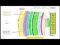 epidural anesthesia u0026 spinal anesthesia regional anesthesia