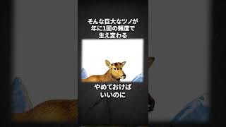 神の設計ミスにより絶滅した「オオツノジカ」