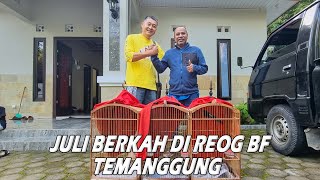 Juli Berkah di Reog BF Temanggung