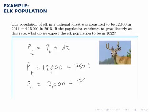 Growth Models Example: Elk Population - YouTube