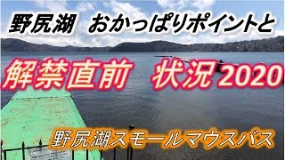 野尻湖おかっぱりポイント＆解禁直前　状況確認2020　野尻湖スモールマウスバス