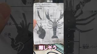 本物？ガチャガチャ！ザリガニ 組み立てるの大変【ガチャガチャ開封】