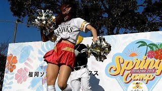 「SHOKO  Version」福岡ソフトバンクホークスハニーズ　宮崎春季キャンプ２０１９　FAN! FUN! STAGE