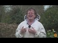 beekeeping 101 requeening part 2 requeening timing dr mark goodwin