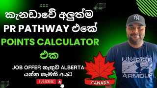 Alberta PNP Points Grid 🤩 කැනඩාවේ  අලුත්ම PR Pathway එකේ Points Calculator එක #canadapr #albertapnp