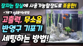 핵꿀팁!모르면 손해!소음없고 내구성좋은 출수량 강력한 어항 기포기 세팅방법!! 구피키우기 어항세팅 정보!! 기포기 소음제거 / 브로와 소음제거 / 브로와 설치 세팅방법!