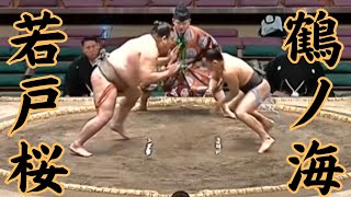 若戸桜VS鶴ノ海（錣山部屋） 令和7年1月場所11日目#sumo #相撲