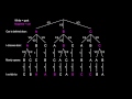 Monty Hall Problem Explained With Tree Diagram