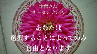 あなたは選択することによってのみ自由となります　　【 津留さん キーセンテンス シリーズ 】（「新人類への覚醒進化プログラム」『選択』より）