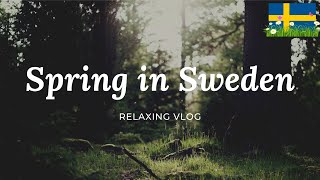 Travel to Sweden | Shvetsiyaga sayohat qilamiz 🇸🇪