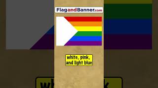 The Progress Pride Flag Explained | Flag Facts #flag #history #pride #vexillology #rainbow