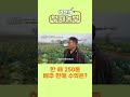 역전의부자농부 222회 한 해 250톤 수확 배추 판매 수익은