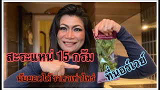 สะระแหน่ ขายที่นอร์เวย์ 6 ยอด 15 กรัม ราคาแพงมาก!!! ส่งมาจากเคนย่า