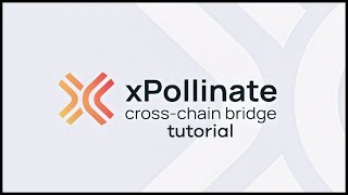 Effortless Cross-chain Stablecoin Swaps with xPollinate