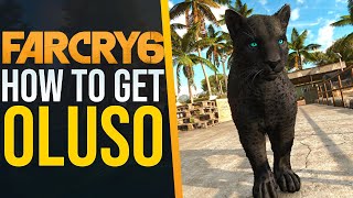 How to get the BEST AMIGO, Oluso, in Far Cry 6!
