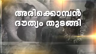 അരിക്കൊമ്പൻ ആനക്കൂട്ടത്തിനൊപ്പം: കുങ്കിയാനകളും ദൗത്യ മേഖലയിൽ