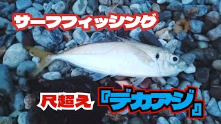 【釣り】　高知　サーフ　『デカアジが釣れる』