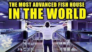 PRIVATE TOUR of The most ADVANCED aquarium fish room - The king of DIY visits Tidal gardens