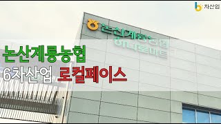 논산계룡농협_6차산업 로컬페이스[궁골]