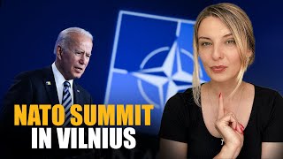 WHY NATO SUMMIT IN VILNIUS IS SO IMPORTANT? Vlog 414: War in Ukraine