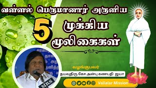 Vallalar Kayakarpa Moligai | வள்ளல் பெருமான் அருளிய காயகற்ப மூலிகைகள் எவை ? #vallalarherbal #herbal