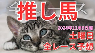 【全レース予想土曜日】 2024年11月9日 武蔵野S2024は◎エンペラーワケア！デイリー杯2歳S2024は◎ランフォーヴァウ！