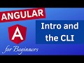 Installing Angular 9 with the CLI | Angular Tutorial for Beginners (2020)